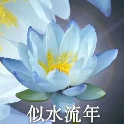 金沙体育娱乐下载APP/手机APP下载相关推荐1