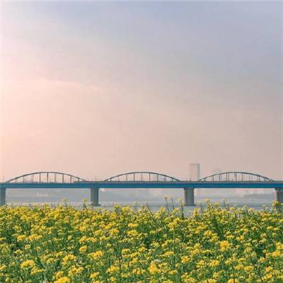 从“跟跑”到“领跑”：国产超快...